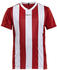 Craft Progress Jersey Stripe Youth (1905584)