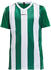 Craft Progress Jersey Stripe Youth (1905584)