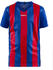 Craft Progress Jersey Stripe Youth (1905584)