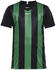 Craft Progress Jersey Stripe Youth (1905584)