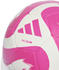 Adidas Tiro Club HZ6913 3 White/Team Shock Pink