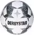 Derbystar Brillant TT white/black/silver