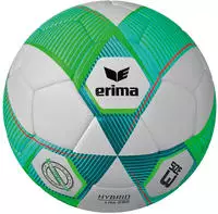 Erima ERIMAHYBRIDLITE290_9222, Erima Erima Hybrid Lite 290 Outdoor-Fu&szlig;ball, gr&uuml;n