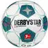 Derbystar Brillant TT Bundesliga (2024/25)