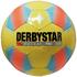 Derbystar Futsal Pro Light