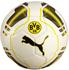 Puma BVB Ball evoPower 6