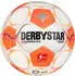 Derbystar Bundesliga Club Light 350g v24l Trainingsball (1431) weiß