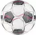 Derbystar Bundesliga Magic APS v24 Spielball (1875) weiß
