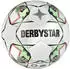 Derbystar Tempo TT v24 Trainingsball (1045) weiß