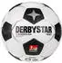Derbystar 2. Bundesliga Brillant APS (2024/2025)