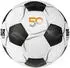 Derbystar 2. Bundesliga Brillant APS (2024/2025)