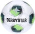 Derbystar Brillant TT DB v24 Ball white
