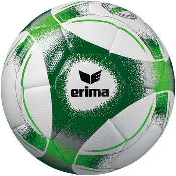 Erima Hybrid Training 2.0 grün (3)