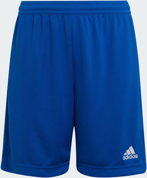 Adidas Kids Entrada 22 Shorts royal blue (HG6291)