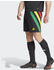 Adidas Man Fortore 23 Shorts black/team collegiate red/team yellow/team green (IK5736)