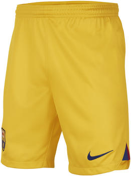 Nike Kinder FC Barcelona 2022/23 Stadium Fourth Dri-FIT Fußball-Shorts (DR5084) gelb