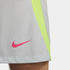 Nike Dri-FIT Strike Fußballshorts (DV9276) pure platinum/volt/hyper pink