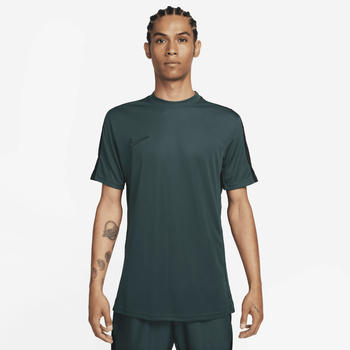 Nike Nike Academy Dri-FIT Kurzarm-Fußballoberteil (DV9750) grün