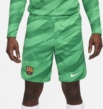 Nike FC Barcelona 2023/24 Stadium Goalkeeper Dri-FIT Fußballshorts (DX2708) grün