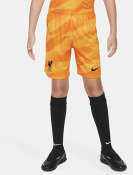 Nike Kinder Liverpool FC 2023/24 Stadium Goalkeeper Dri-FIT Fußball-Shorts (DX2787) gelb