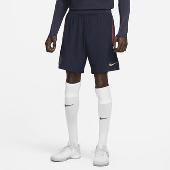 Nike Paris Saint-Germain Strike Elite Dri-FIT ADV (DX2966)-Fußballshorts blau