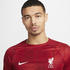 Nike Liverpool FC Academy Pro Dri-FIT Pre-Match-Fußballoberteil (DX3614) rot