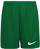 Nike Kids Dri-FIT Park 3 Shorts (BV6865) pine green/white