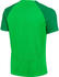 Nike Man Academy Pro Dri-Fit SS Top (DH9225)