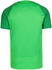 Nike Man Academy Pro Dri-Fit SS Top (DH9225)