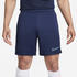 Nike Dry Academy Shorts