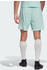 Adidas Man Entrada 22 Shorts clear mint (HC5051)