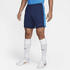 Nike Dry Academy Shorts