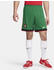 Nike Portugal 2024 Stadium Home Dri-FIT Football Replica Shorts (FJ4297) pine green/university red/pitch blue/sail