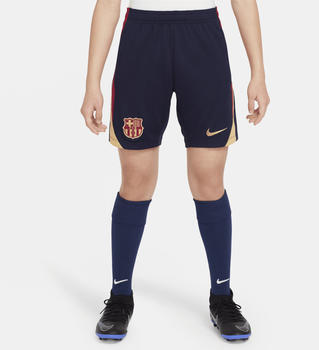 Nike F.C. Barcelona Strike Dri-FIT Football Shorts (FJ5535) obsidian/noble red/club gold/club gold
