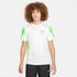 Nike Kinder Trainingsshirt CR7 Dri-FIT Academy Player Edition (FN8427) white/green strike