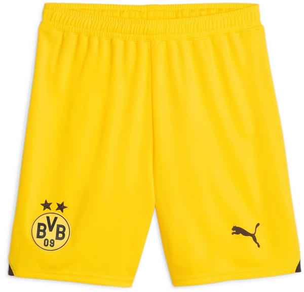 Puma Herren Short BVB Training Shorts (770636) cyber yellow-puma black