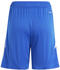 Adidas Kinder Short Tiro 24 (IR9366) royal blue/white