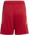 Adidas Kinder Short Tiro 24 (IR9367) team power red/white