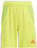 Adidas Kinder Short Tiro 24