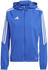 (IM8804) royal blue/white