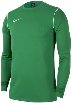 Nike Herren Dri-FIT Park 20 Crew Top R (FJ3004) pine green/white