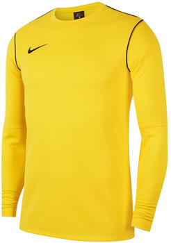Nike Herren Dri-FIT Park 20 Crew Top R (FJ3004) tour yellow/black