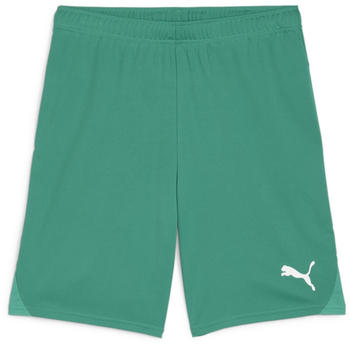 Puma Herren teamGOAL Shorts (705752) sport green-puma white