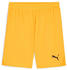 Puma Herren teamGOAL Shorts (705752) sun stream-puma black