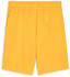 Puma Herren teamGOAL Shorts (705752) sun stream-puma black