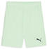 Puma Herren teamGOAL Shorts (705752) fresh mint-puma black