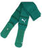 Puma Stutzen teamFINAL (705746)