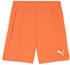 Puma Kinder teamGOAL Shorts Jr (705753)