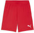Puma Kinder teamGOAL Shorts Jr (705753)