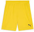 Puma Kinder teamGOAL Shorts Jr (705753)